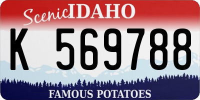 ID license plate K569788