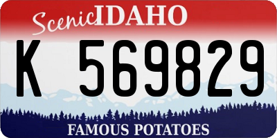 ID license plate K569829