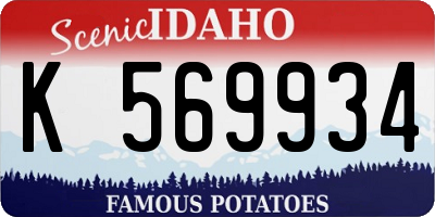 ID license plate K569934