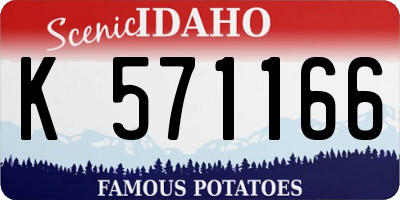 ID license plate K571166