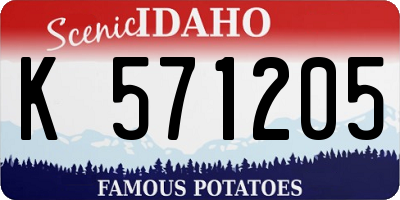 ID license plate K571205