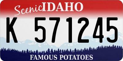 ID license plate K571245