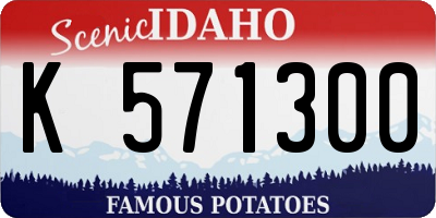 ID license plate K571300
