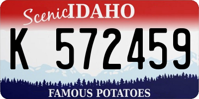 ID license plate K572459