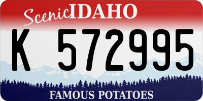 ID license plate K572995