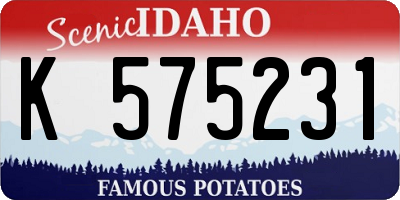 ID license plate K575231