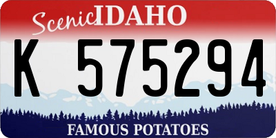 ID license plate K575294