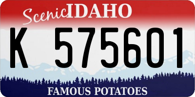 ID license plate K575601