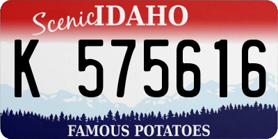 ID license plate K575616