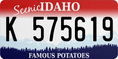 ID license plate K575619