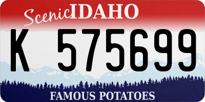 ID license plate K575699