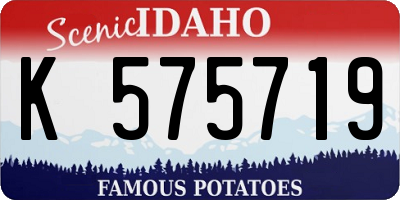 ID license plate K575719