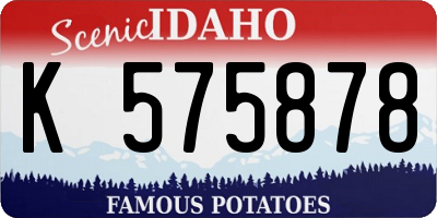 ID license plate K575878