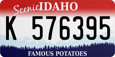 ID license plate K576395