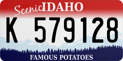 ID license plate K579128