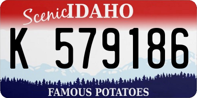 ID license plate K579186