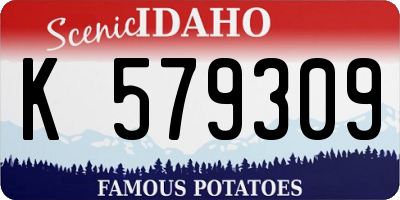 ID license plate K579309