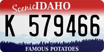ID license plate K579466