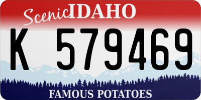 ID license plate K579469
