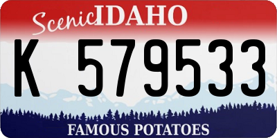 ID license plate K579533