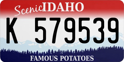 ID license plate K579539