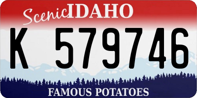 ID license plate K579746