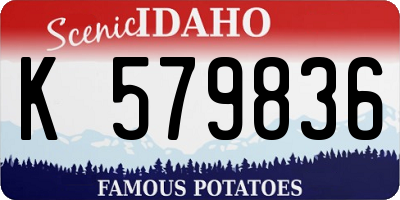 ID license plate K579836
