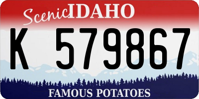 ID license plate K579867