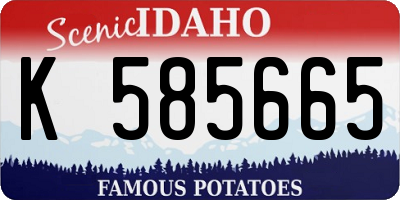 ID license plate K585665