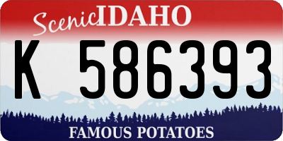 ID license plate K586393