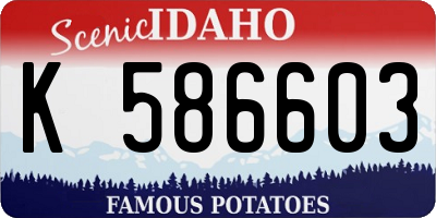 ID license plate K586603