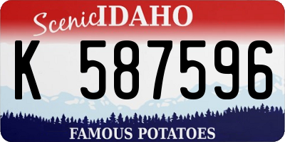 ID license plate K587596