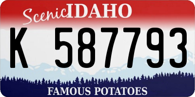 ID license plate K587793