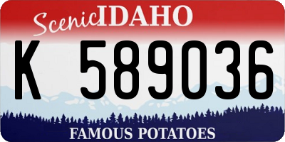 ID license plate K589036