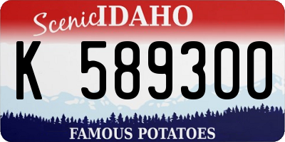 ID license plate K589300