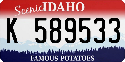 ID license plate K589533