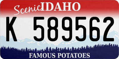 ID license plate K589562