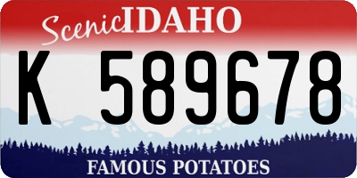 ID license plate K589678