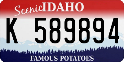 ID license plate K589894