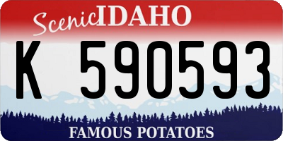 ID license plate K590593
