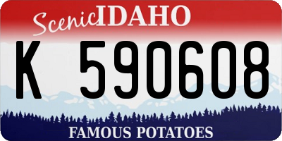 ID license plate K590608