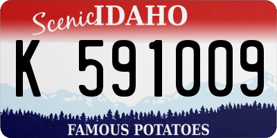 ID license plate K591009