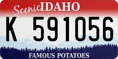 ID license plate K591056