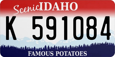 ID license plate K591084