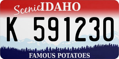 ID license plate K591230