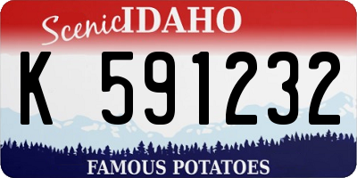 ID license plate K591232