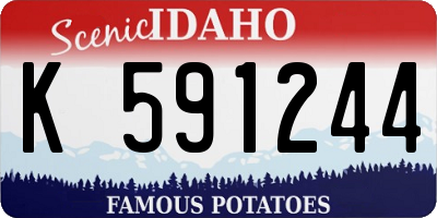ID license plate K591244