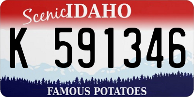 ID license plate K591346