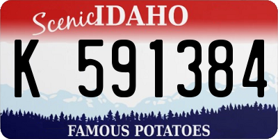 ID license plate K591384