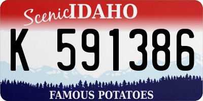 ID license plate K591386